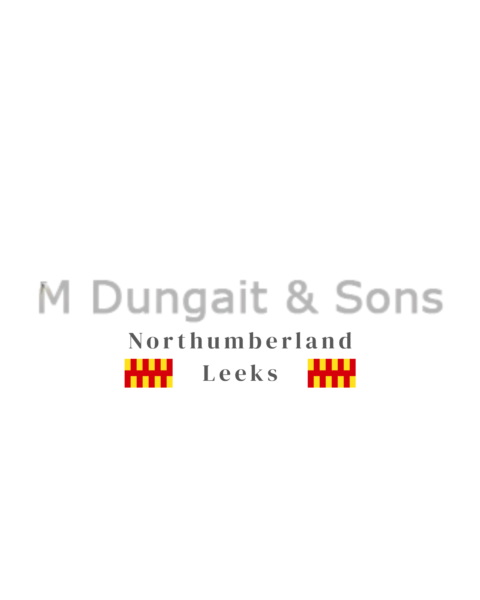 our partners at the highlander